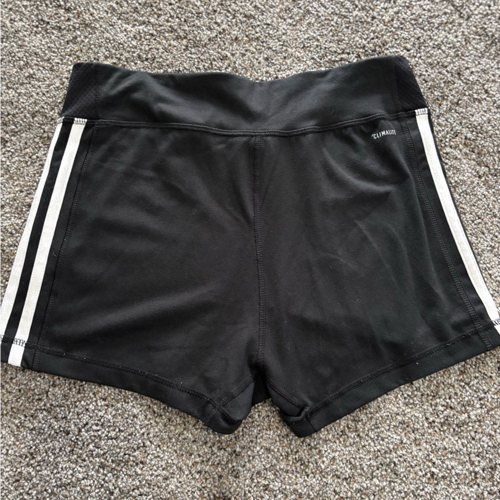 Climate Shorts - Picture 3 of 3